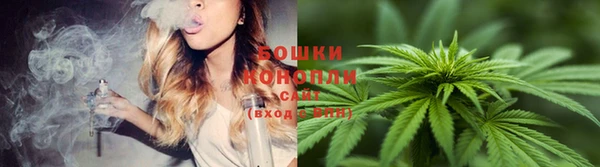 гашик Белокуриха