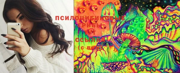 прущие крисы Беломорск