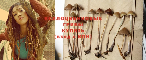 мяу мяу мука Белоозёрский