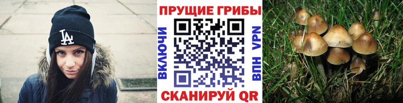Псилоцибиновые грибы GOLDEN TEACHER  мега зеркало  Мариинский Посад 